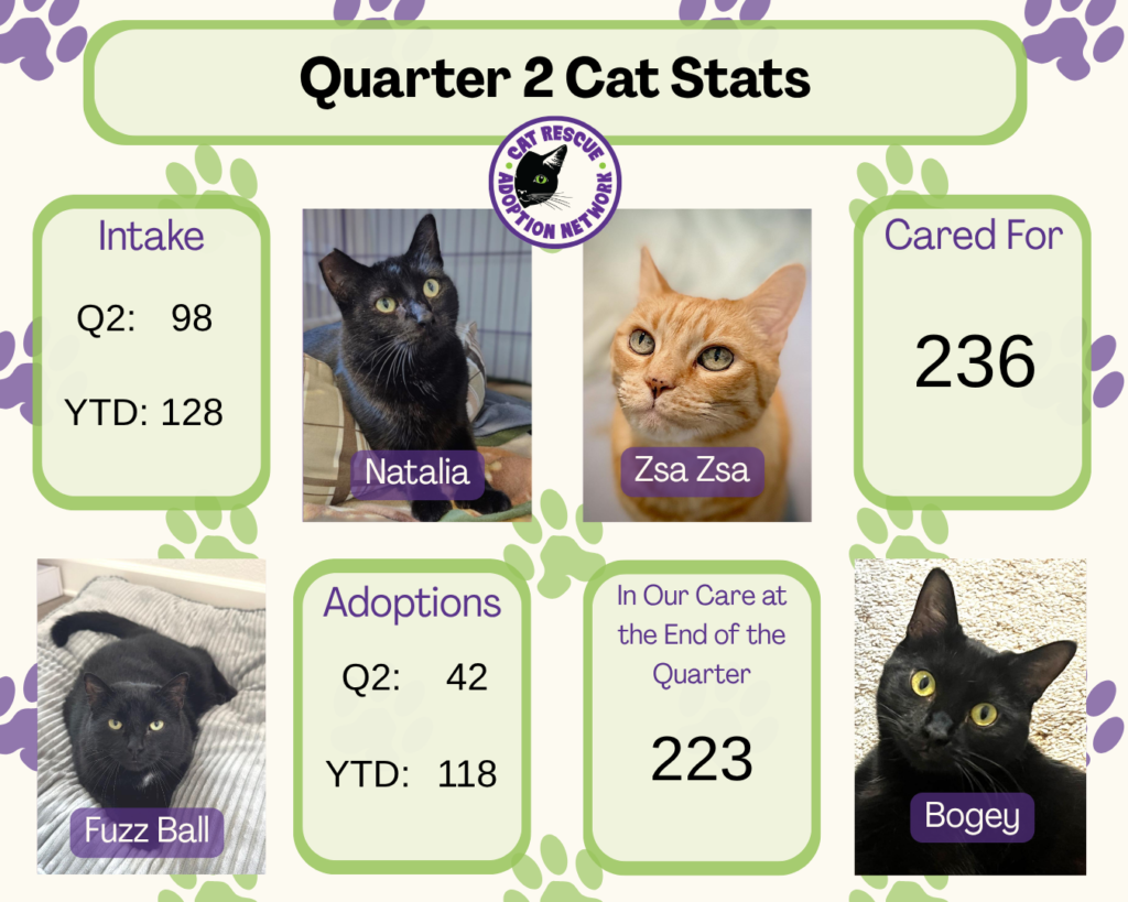 Q2 2026 Cat Stats