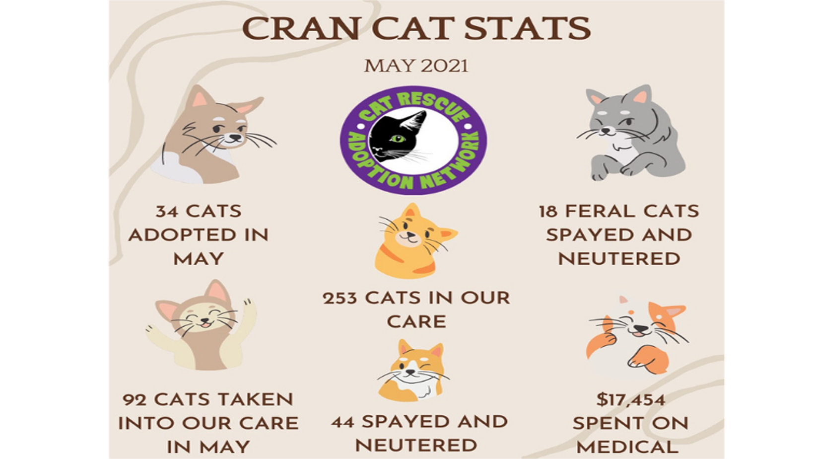 Cat Rescue and Adoption NetworkUntitled design (2) Cat Rescue and